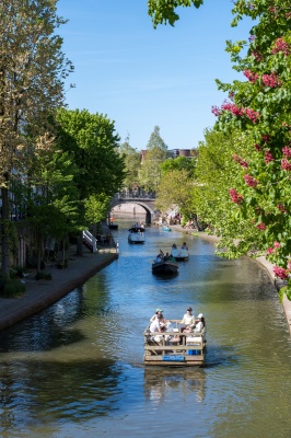 Sommerleuchten auf den Utrechter Grachten