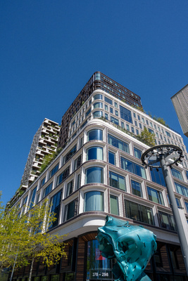 Wonderwoods – Urbaner Kontrast