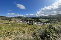IMG_1855